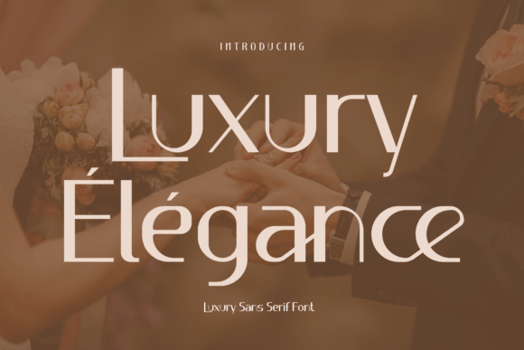 Luxury Élégance: A Modern Sans Serif Typeface for Editors
